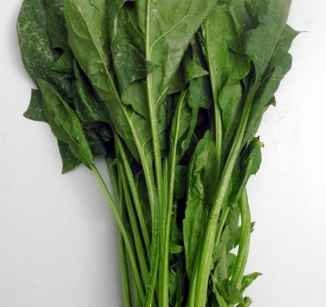 痛風患者可吃蔬菜補鈣 8