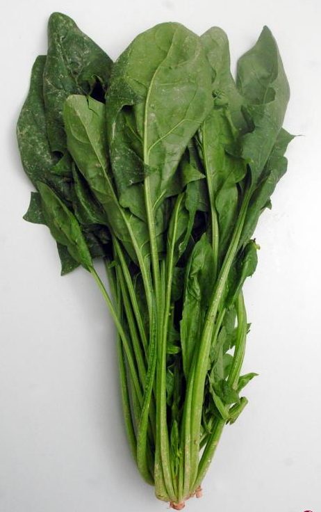 痛風患者可吃蔬菜補鈣 3